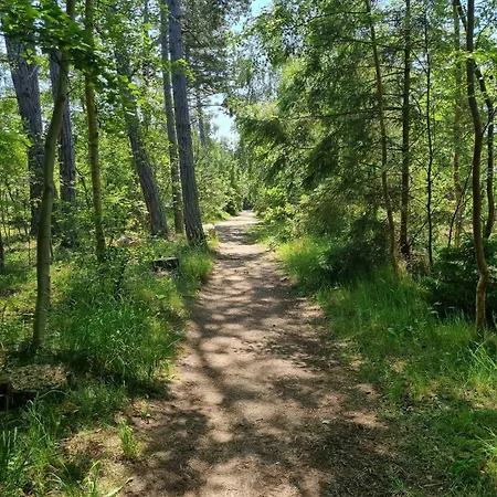 Excellent With Sauna And 10 Persons * Højby