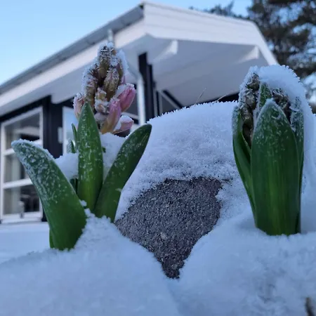 Excellent With Sauna And 10 Persons