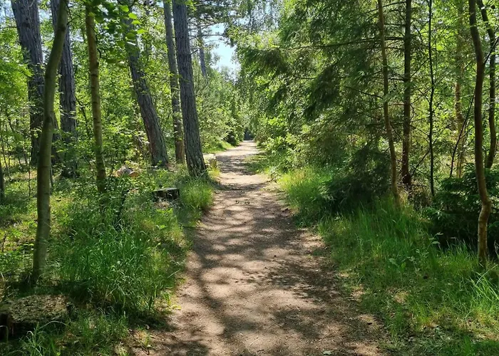 Excellent With Sauna And 10 Persons * Højby